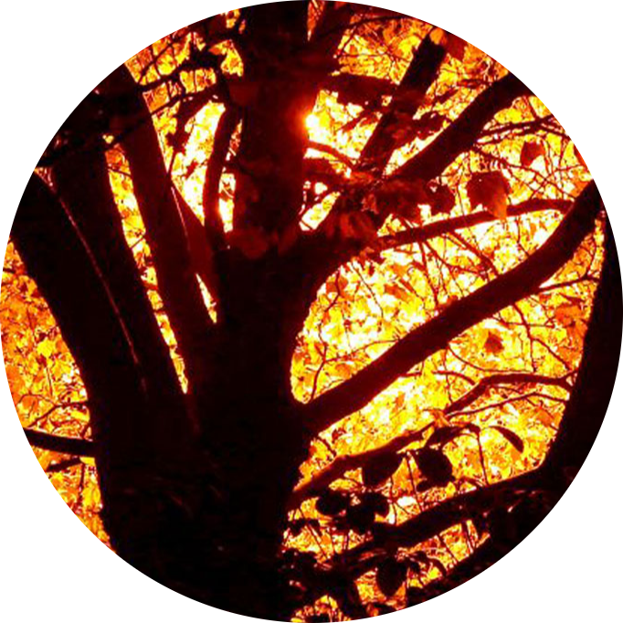 Finding work in a world on fire